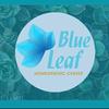Blue Leaf Homeopathic Center - @sandratubbs_blueleaf - TikTok