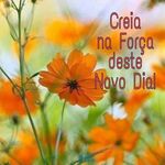 Sandra Maria Reis Batitucci - @sandramariareisbatitucci - Instagram