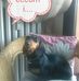 Sandra Tucci - Facebook