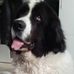 Sandra Tuma - Facebook