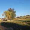 Sandra Turk - @sandraturk1 - TikTok