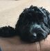 Sandra Turtle - Facebook