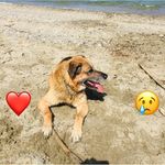 Sandra Turtle - @sandra.legrand.73 - Instagram