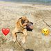 Sandra Turtle - Facebook
