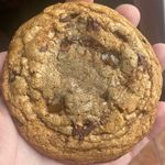 Sandra Turtles - @sandra_turtles - Instagram