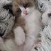 Sandra Tyree - Facebook