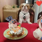 Sandra Ubilla - Facebook