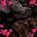 Sandra Uebel - Facebook