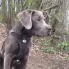 sandrauebel383 - @sandrauebel383 - TikTok