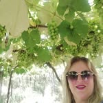 Sandra Uecker - @sandrauecker - Instagram