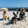 Villakunterbuntlanzarote - @sandrahuecker - TikTok