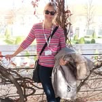 Sandra Ulmer - @ulmer263 - Instagram