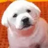 Sandra Underhill - @sandraunderhill58 - TikTok