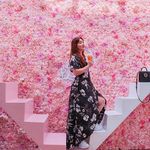 Sandra Ung - @sandraung - Instagram