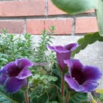 Sandra Urgiles - Facebook