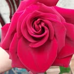 Sandra Urgiles - @sandra.urgiles.7796 - Instagram