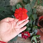 Sandra Usuga - @sandra.usuga.19 - Instagram