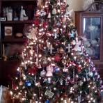 Sandra Utterback - Facebook