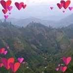 Sandra Vago - Facebook