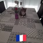 Sandra Vaillant - Facebook