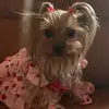 Sandra Valadez - @sandravaladez49 - TikTok