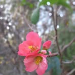 Sandra Valido - Facebook