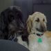 Sandra VanBuskirk - Facebook