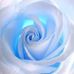 Sandra Vanderbilt - Facebook