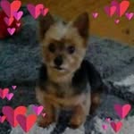 Sandra Vanderheyden - @sandra.vanderheyden.96 - Instagram