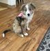 Sandra Cavey VanMeter - Facebook
