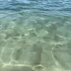Sandra Vannini - @sandravannini - TikTok