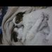 Sandra Vano - Facebook