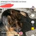 Sandra Vano - Facebook