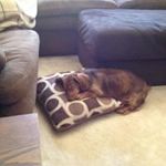 Sandra Varnell Carter - @sandravarnellcarter - Instagram