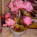 sandravassell - @sandravassell5081 - Instagram