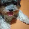 DRAO - @sandravecchi82 - TikTok