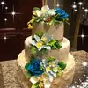 Sandra Vecchini - @sandravecchini - TikTok