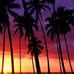 Sandra Venable - Facebook
