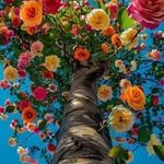 Sandra Verin - @sndrvrn3 - Instagram