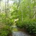 Sandra Vermette - Facebook