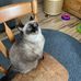Sandra Vermette - Facebook