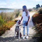 Sandra Vicente - @sandrarcvicente - Instagram