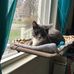 Sandra Vickerson - Facebook