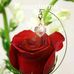 Sandra Vico - Facebook