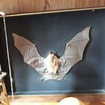 Sandra Villard - @sandra.villard.5 - Instagram