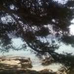 Sandra Villard - @sandravillard - Instagram