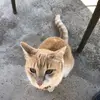Sandra Viola - @sandraviola24 - TikTok