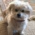 Sandra Violette - Facebook