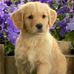 Sandra Vipperman - Facebook