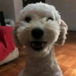 Sandra Vipperman - Facebook